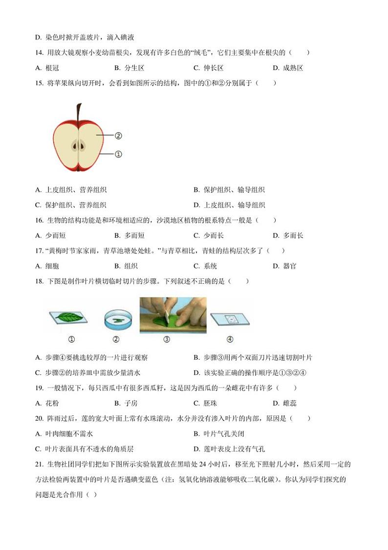 2024～2025学年海南省临高县七年级上期末生物试卷(含答案)第3页