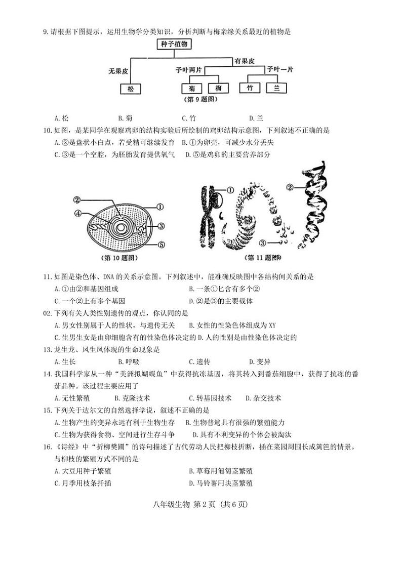 2024～2025学年吉林省长春市绿园区八年级上期末生物试卷(含答案)第3页