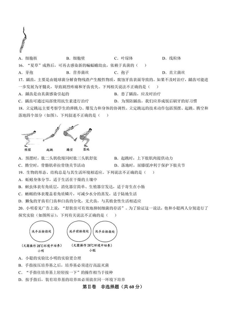 2024～2025学年山西省晋中市榆次区八年级上期末生物试卷(含答案)第3页