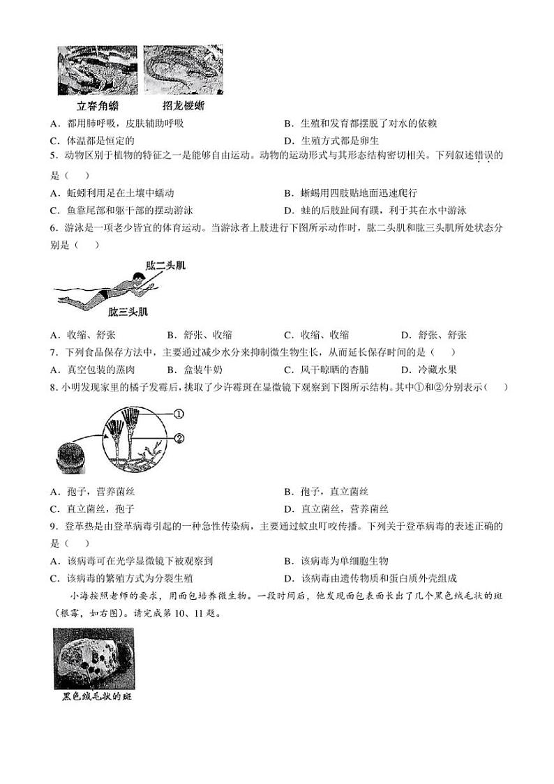 2024～2025学年山西省大同市浑源县学校八年级上期末生物试卷(含答案)第2页