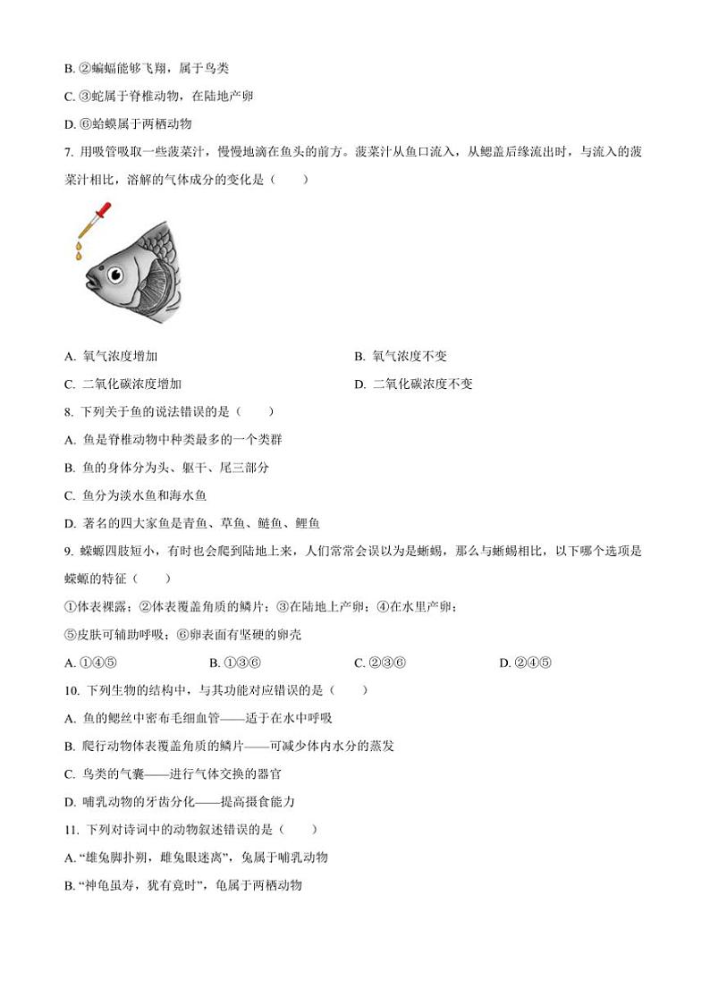 2024～2025学年江西省南昌一中联考(月考)七年级上期末生生物试卷(含答案)第2页