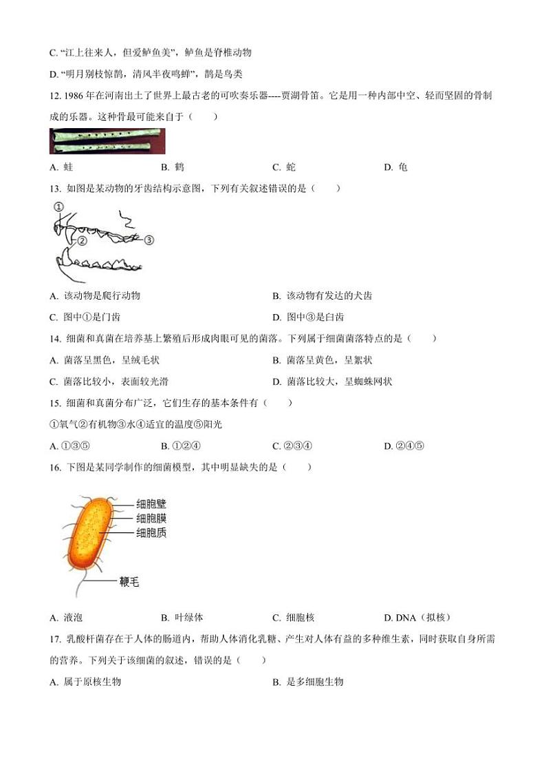 2024～2025学年江西省南昌一中联考(月考)七年级上期末生生物试卷(含答案)第3页