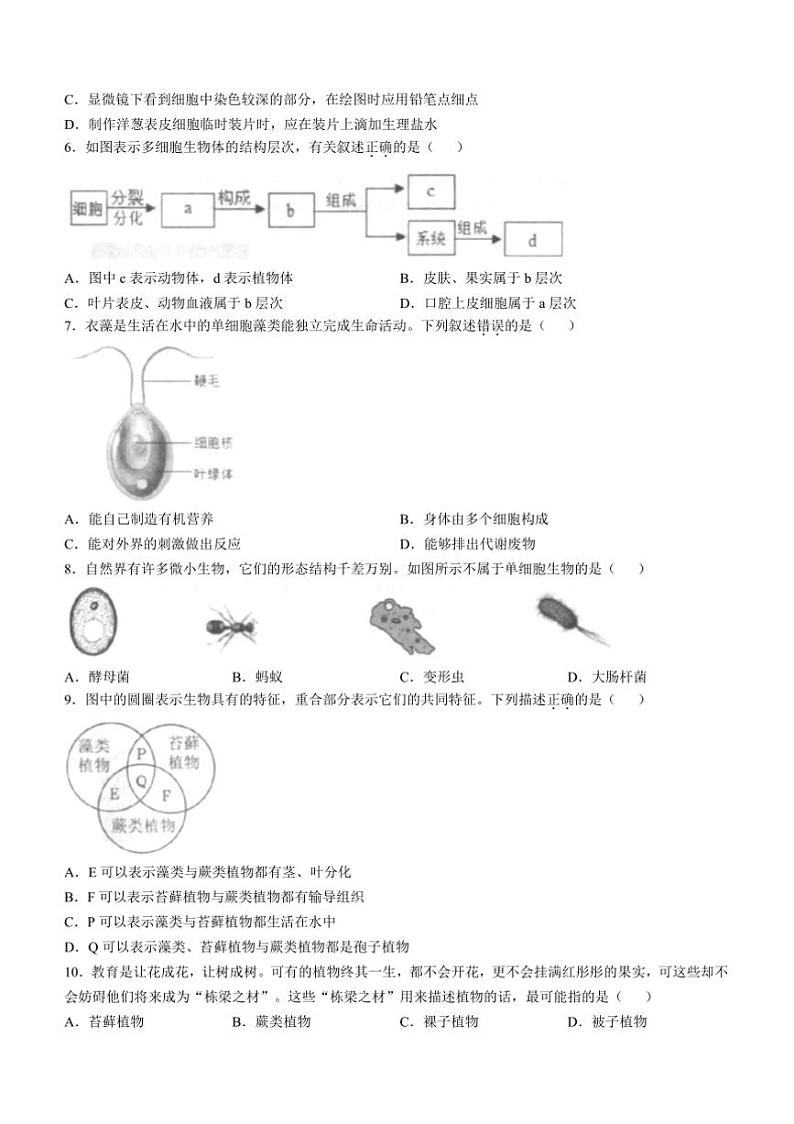 2024～2025学年河南省平顶山市宝丰县七年级上期末生物试卷(含答案)第2页
