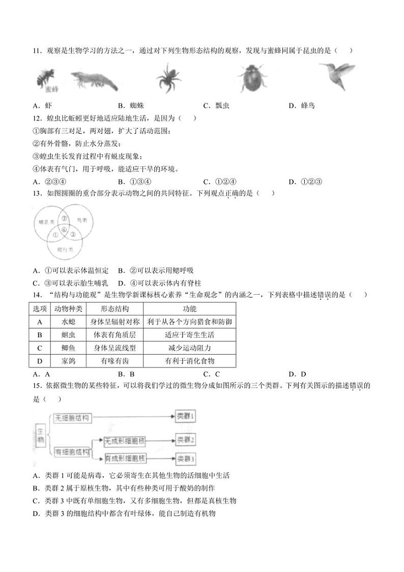 2024～2025学年河南省平顶山市宝丰县七年级上期末生物试卷(含答案)第3页