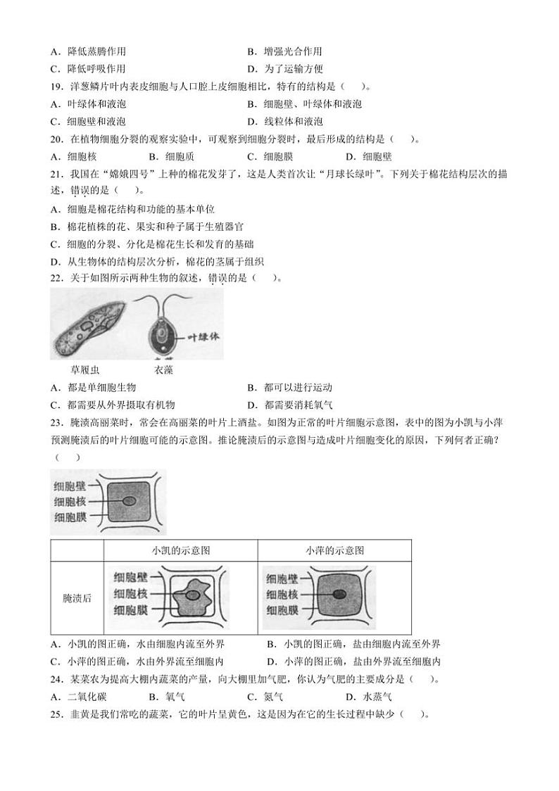 2024～2025学年广东省揭阳市惠来县七年级上期末生物试卷(含答案)第3页