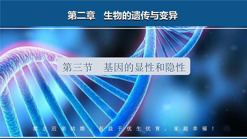 人教版生物八年级下册7.2.3《基因的显性和隐性》课件第1页