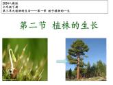 人教版生物七年級(jí)下冊(cè)3.1.2.《植株的生長(zhǎng)》教學(xué)課件