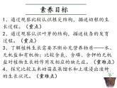 人教版生物七年級(jí)下冊(cè)3.1.2.《植株的生長(zhǎng)》教學(xué)課件