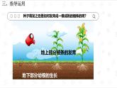 人教版生物七年級(jí)下冊(cè)3.1.2《植株的生長(zhǎng)》（教學(xué)課件）