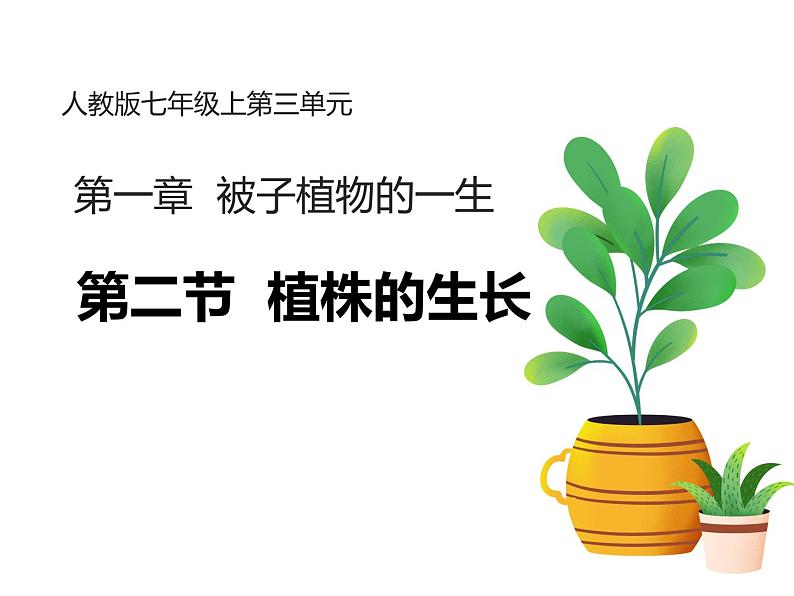 人教版生物七年级下册3.1.2《植株的生长》课件第1页