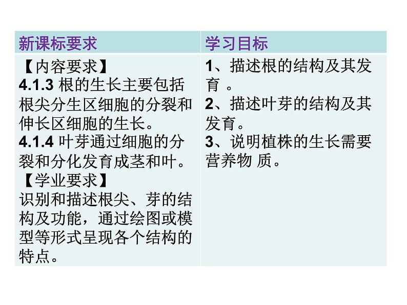 人教版生物七年级下册3.1.2《植株的生长》课件第2页