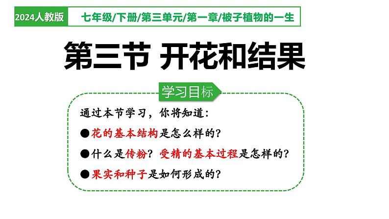 人教版生物七年级下册3.1.3《开花和结果》课件第1页