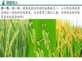 人教版生物七年級下冊3.1.3《開花和結(jié)果》課件