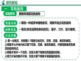 人教版生物七年級下冊3.1.3《開花和結(jié)果》課件