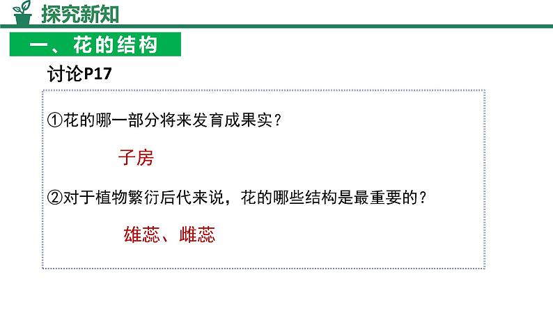 人教版生物七年级下册3.1.3《开花和结果》课件第7页