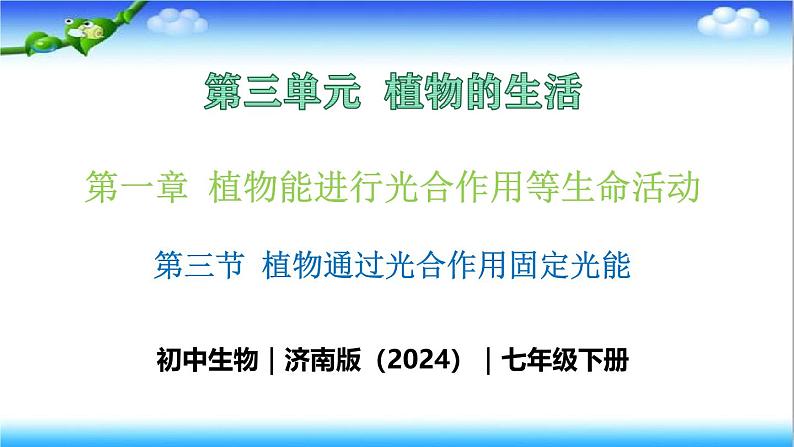 3.1.3 植物通过光合作用固定光能 - 初中生物七年级下册 同步教学课件（济南版2024）第1页