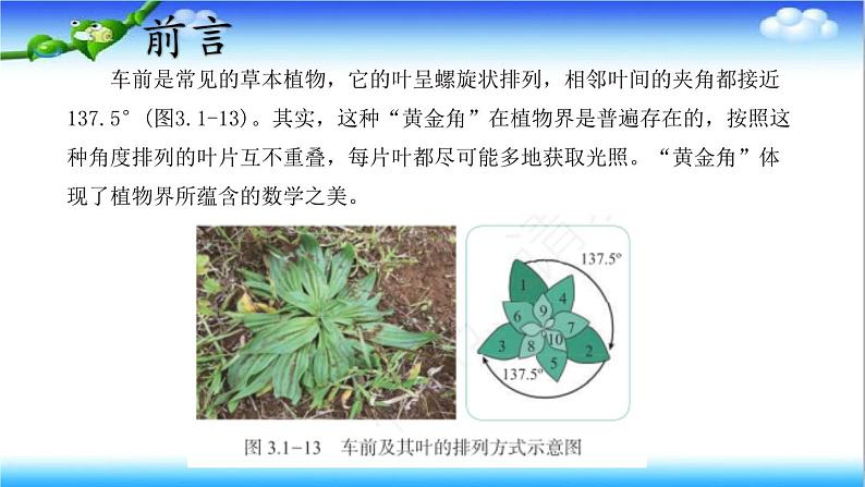 3.1.3 植物通过光合作用固定光能 - 初中生物七年级下册 同步教学课件（济南版2024）第2页