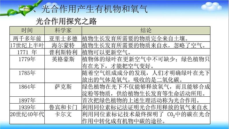 3.1.3 植物通过光合作用固定光能 - 初中生物七年级下册 同步教学课件（济南版2024）第4页