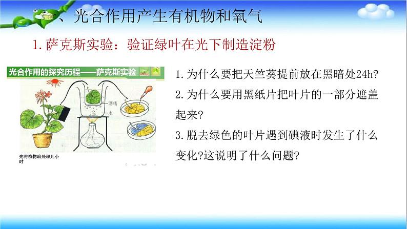 3.1.3 植物通过光合作用固定光能 - 初中生物七年级下册 同步教学课件（济南版2024）第5页