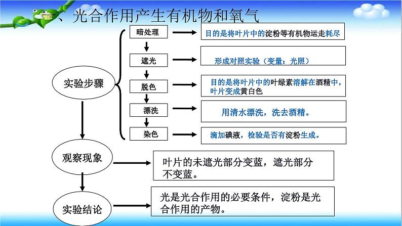 3.1.3 植物通过光合作用固定光能 - 初中生物七年级下册 同步教学课件（济南版2024）第7页