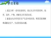 3.1.3 植物通过光合作用固定光能 - 初中生物七年级下册 同步教学课件（济南版2024）