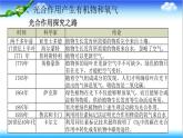 3.1.3 植物通过光合作用固定光能 - 初中生物七年级下册 同步教学课件（济南版2024）