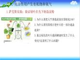 3.1.3 植物通过光合作用固定光能 - 初中生物七年级下册 同步教学课件（济南版2024）