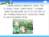 3.1.4 植物通过呼吸作用为生命活动提供能量 - 初中生物七年级下册 同步教学课件（济南版2024）