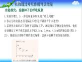 3.1.4 植物通过呼吸作用为生命活动提供能量 - 初中生物七年级下册 同步教学课件（济南版2024）
