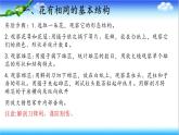 3.2.1 花是被子植物特有的生殖器官 - 初中生物七年级下册 同步教学课件（济南版2024）