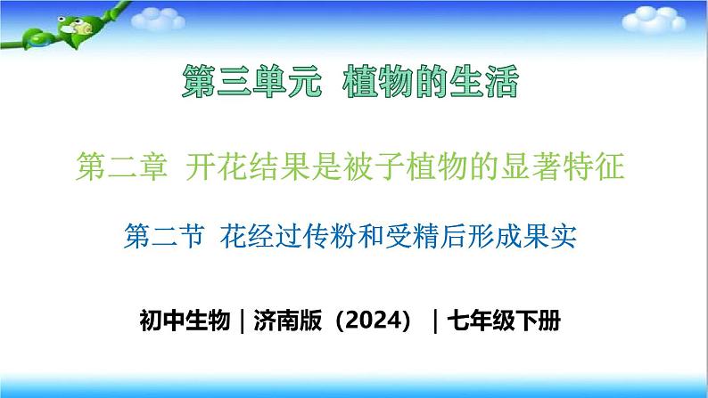 3.2.2 花经过传粉和受精后形成果实 - 初中生物七年级下册 同步教学课件（济南版2024）第1页