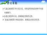 3.2.2 花经过传粉和受精后形成果实 - 初中生物七年级下册 同步教学课件（济南版2024）