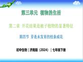 3.2.4 芽是未发育的枝条或花 - 初中生物七年级下册 同步教学课件（济南版2024）