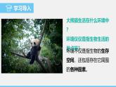 蘇教版（2024）七下生物課件 3.7.1 第1課時(shí) 生物與環(huán)境的關(guān)系