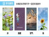 蘇教版（2024）七下生物課件 3.7.1 第1課時(shí) 生物與環(huán)境的關(guān)系