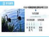 蘇教版（2024）七下生物課件 3.7.1 第1課時(shí) 生物與環(huán)境的關(guān)系