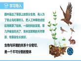 蘇教版（2024）七下生物課件 3.7.1 第2課時(shí) 生態(tài)系統(tǒng)的組成成分