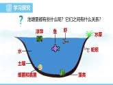 蘇教版（2024）七下生物課件 3.7.1 第2課時(shí) 生態(tài)系統(tǒng)的組成成分