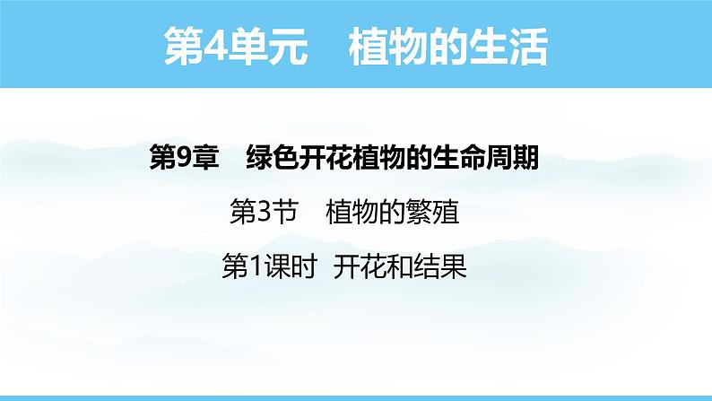 苏教版（2024）七下生物课件 4.9.3 第1课时 开花和结果第1页