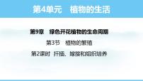 初中生物苏教版（2024）七年级下册（2024）第3节 植物的繁殖授课课件ppt