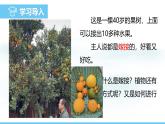 蘇教版（2024）七下生物課件 4.9.3 第2課時 扦插、嫁接和組織培養(yǎng)