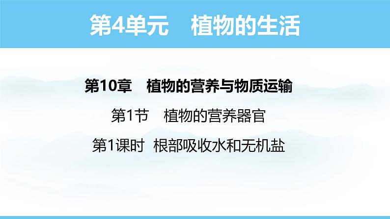 苏教版（2024）七下生物课件 4.10.1 第1课时 根部吸收水和无机盐第1页