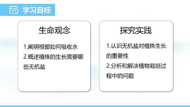 苏教版（2024）七下生物课件 4.10.1 第1课时 根部吸收水和无机盐第2页