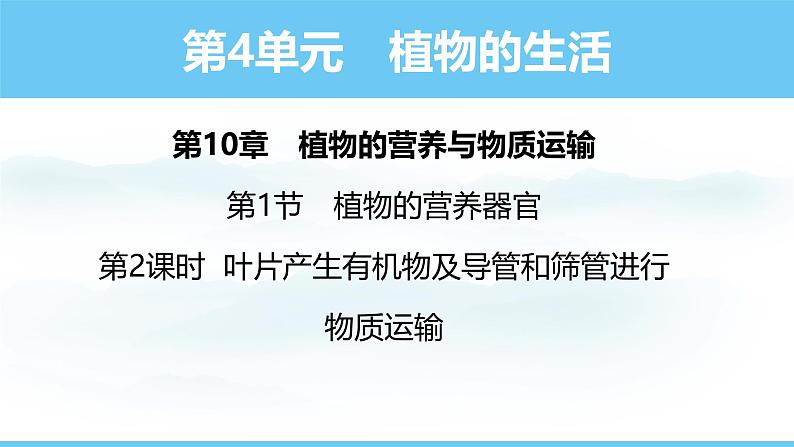 苏教版（2024）七下生物课件 4.10.1 第2课时 叶片产生有机物第1页