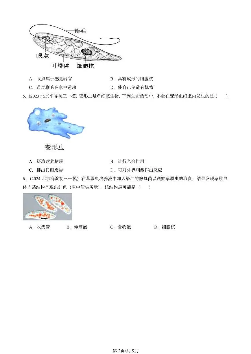 2022-2024北京初三中考一模真题生物汇编：单细胞生物第2页