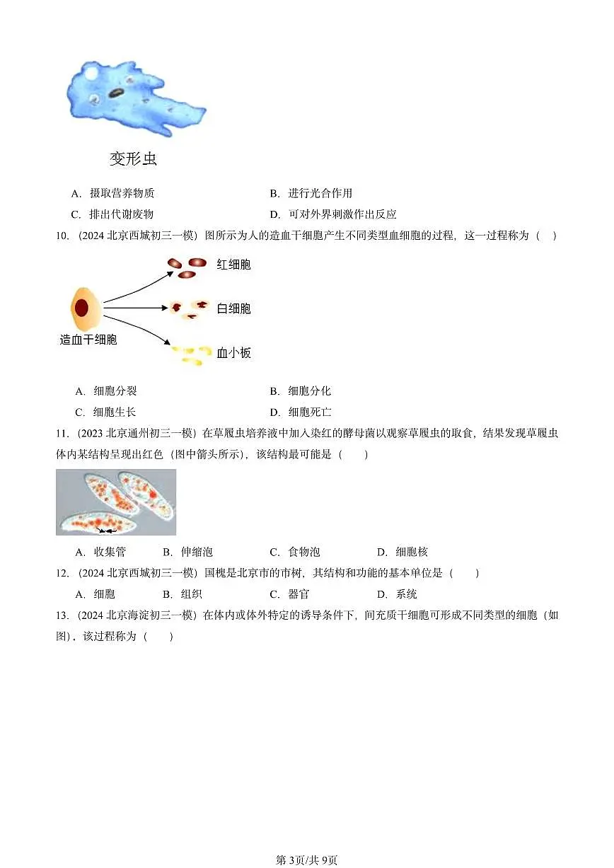 2022-2024北京初三中考一模真题生物汇编：细胞怎样构成生物体章节综合第3页