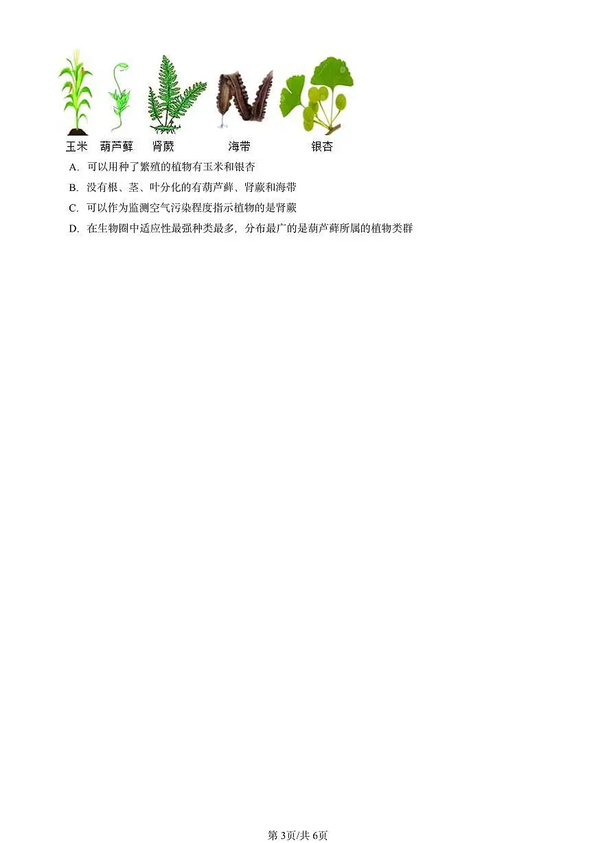 2020-2024北京初三中考一模真题生物汇编：种子植物第3页