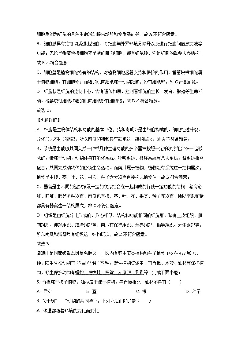 福建省泉州市泉港区2024-2025学年七年级上学期期末生物试卷（解析版）第3页