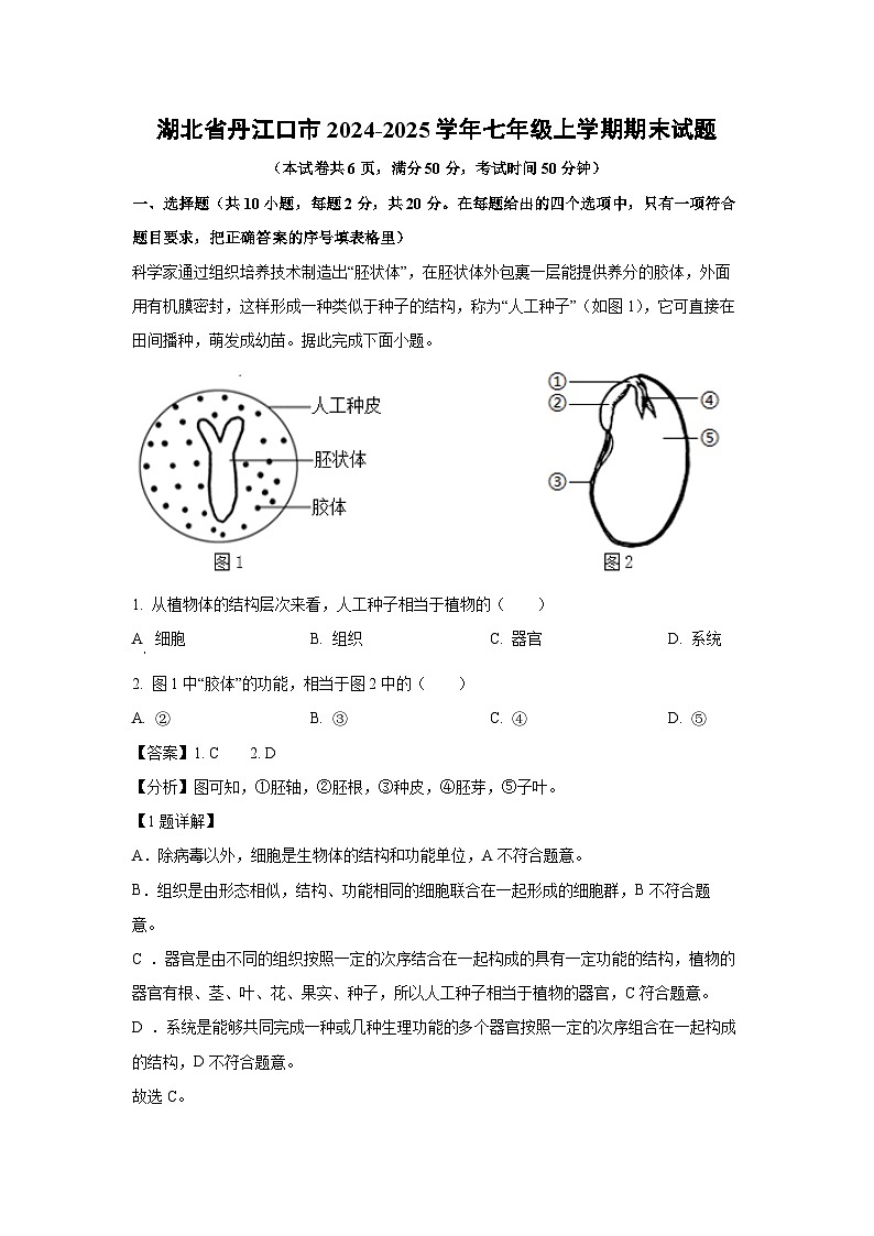 湖北省丹江口市2024-2025学年七年级上学期期末生物试卷（解析版）第1页