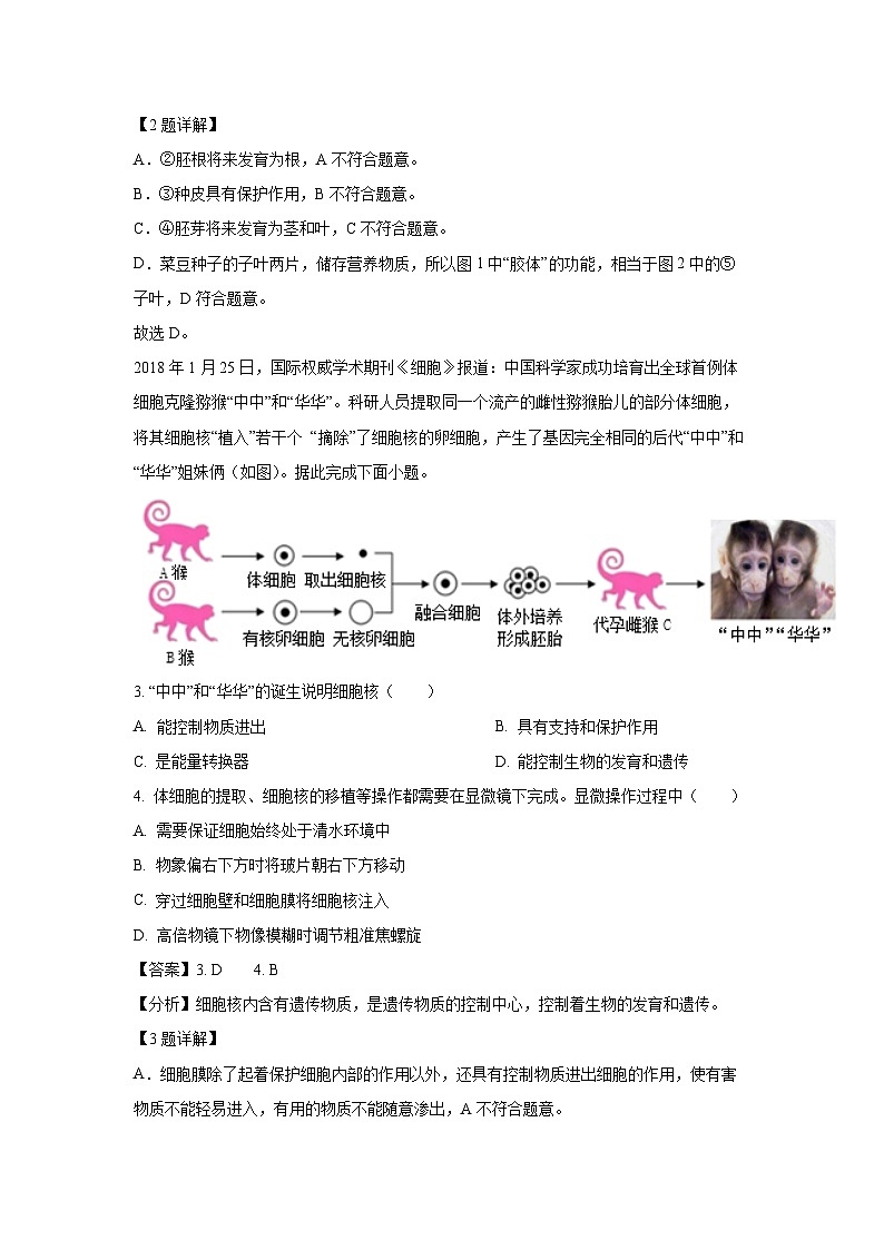 湖北省丹江口市2024-2025学年七年级上学期期末生物试卷（解析版）第2页